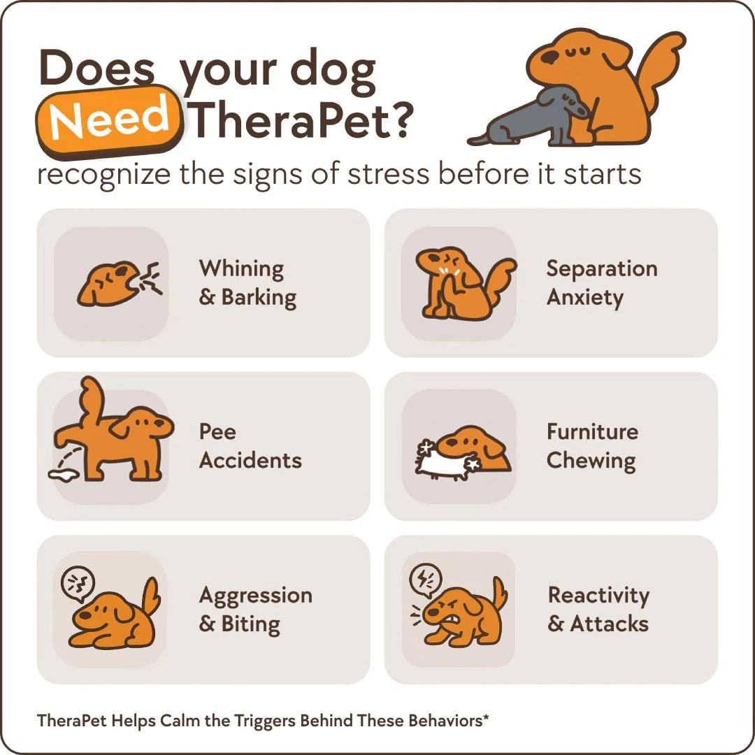 Dogs Calming Diffuser